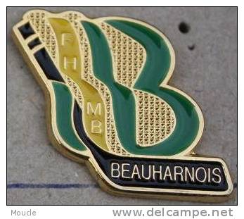 HOCKEY MINEUR BEAUHARNOIS - FHMB - Invierno