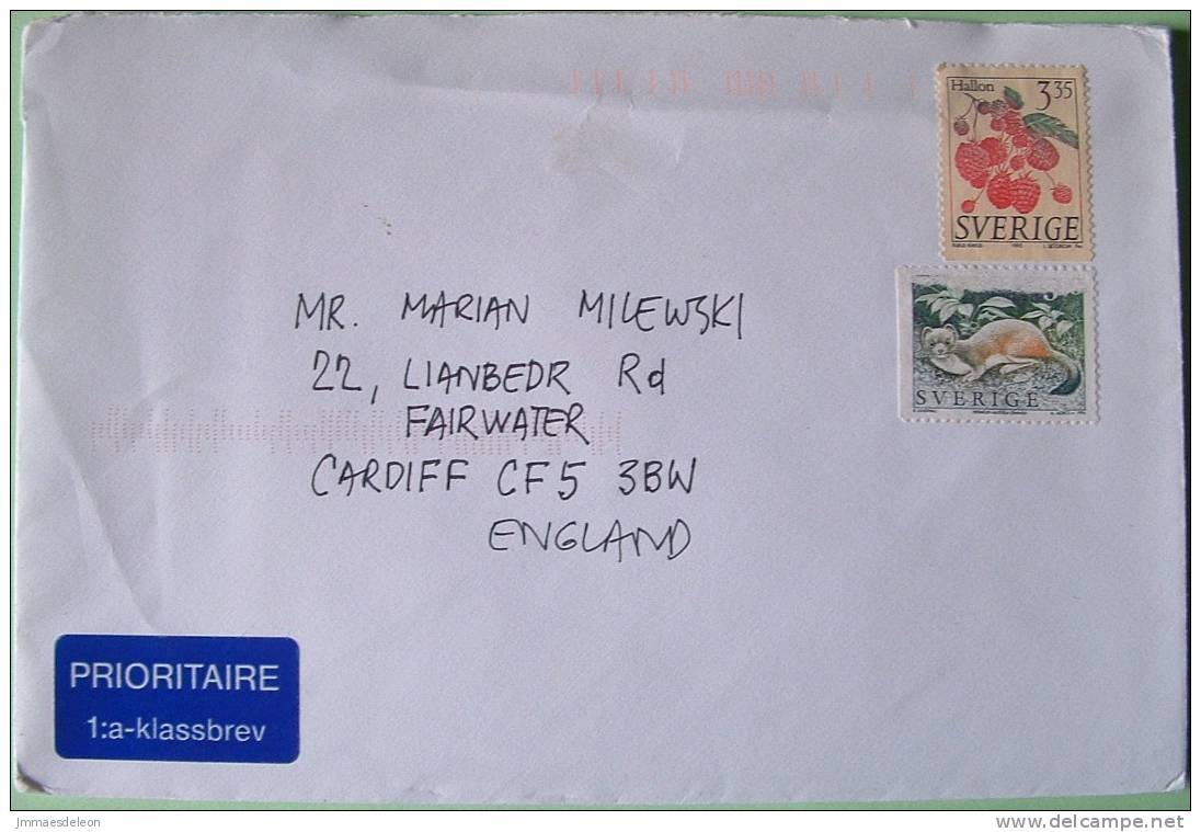 Sweden 1996 Cover To England UK - Fruits - Animal - Mustela (stamp Damaged) - Cartas & Documentos
