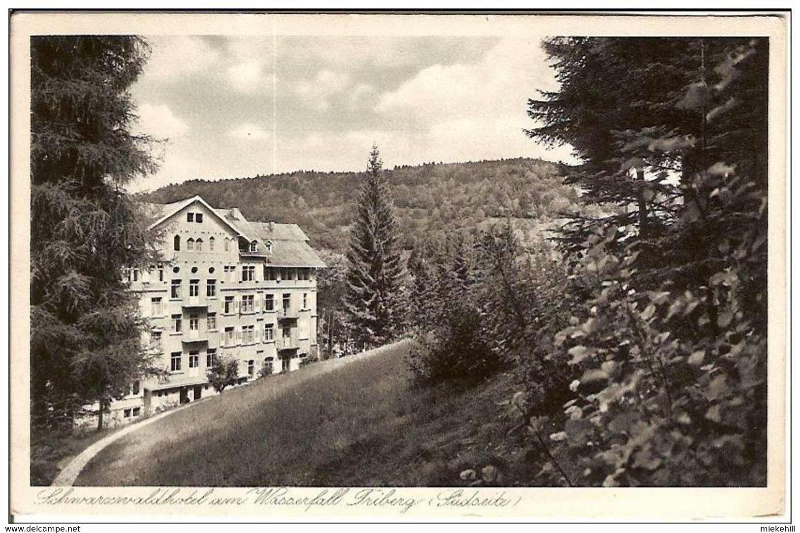 TRIBERG-SCHWARZWALDHOTEL AM WASSERFALL - Triberg