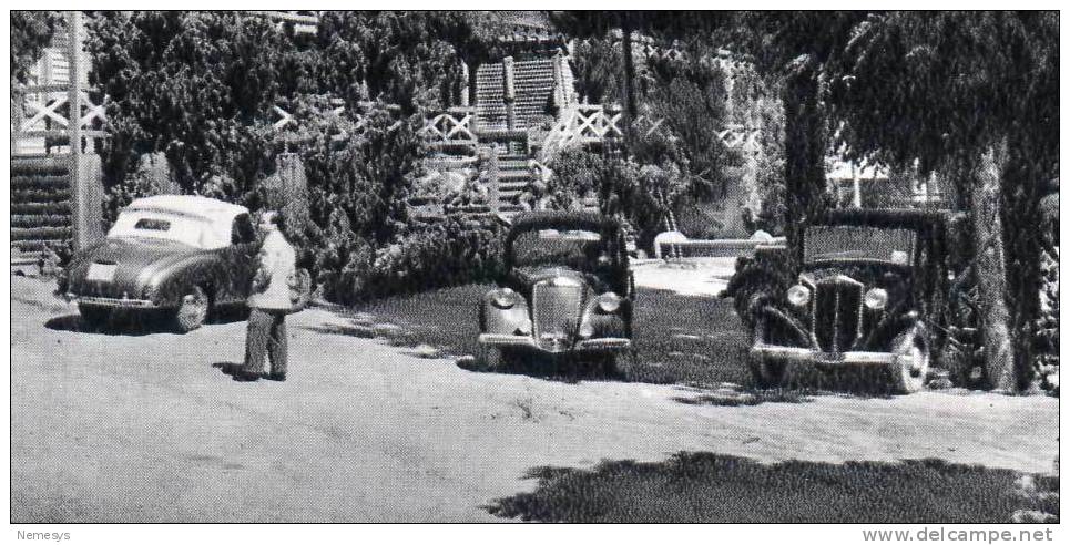 SPL 1955 VILLAGGIO MANCUSO (TAVERNA CATANZARO) SILA PICCOLA ALBERGO DELLE FATE VIAGGIATA 4 SCAN ANIMATISSIMA AUTOMOBILI - Catanzaro