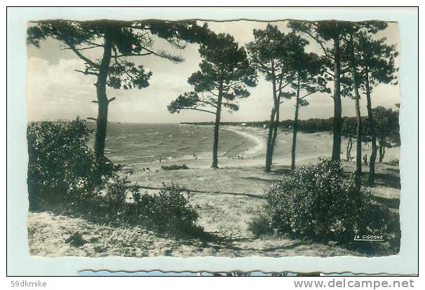 CP Saint Brevin - Le Pointeau - La Plage - Saint-Brevin-l'Océan