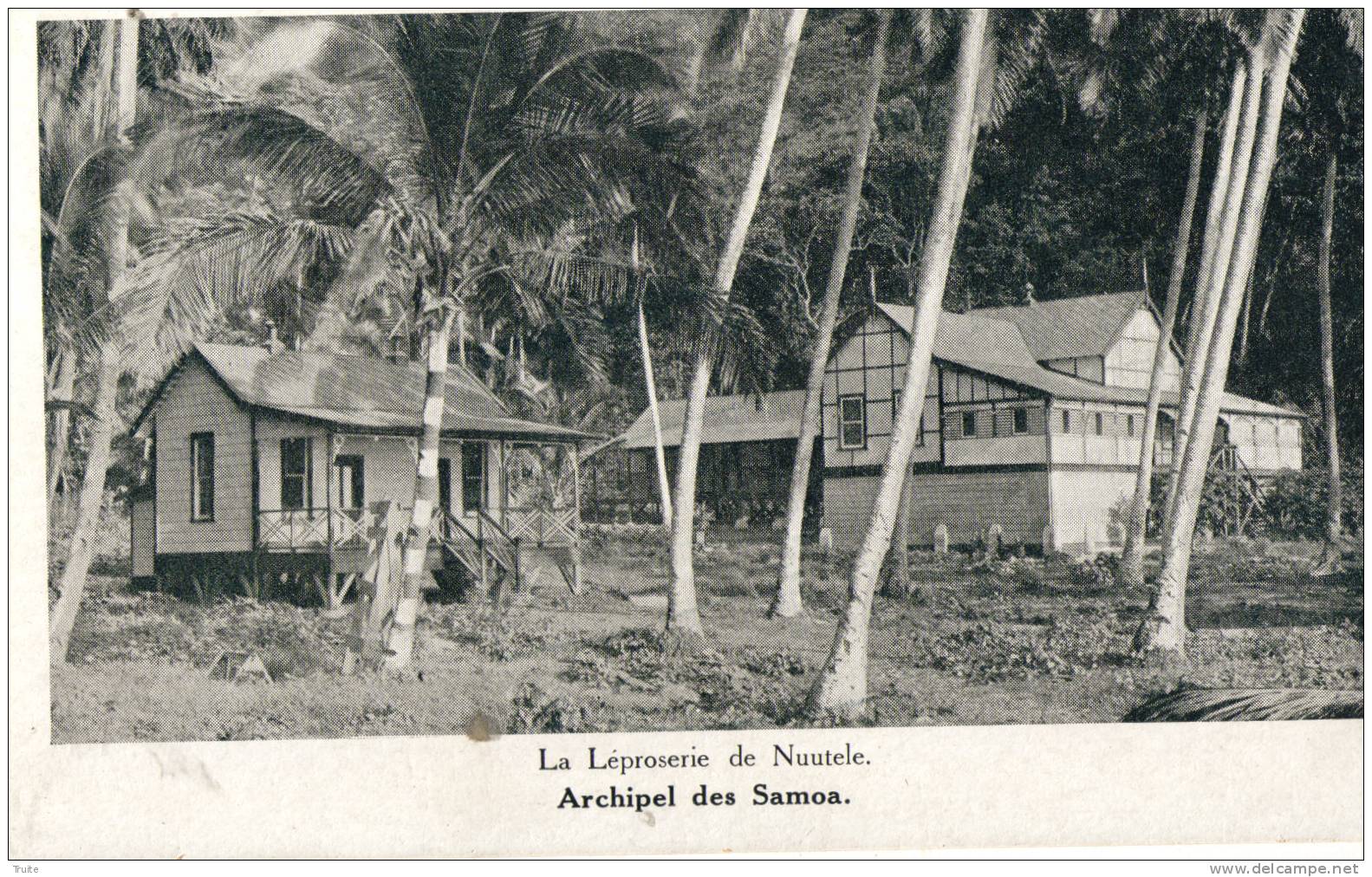 ARCHIPEL DES SAMOA LA LEPROSERIE DE NUUTELE - Samoa