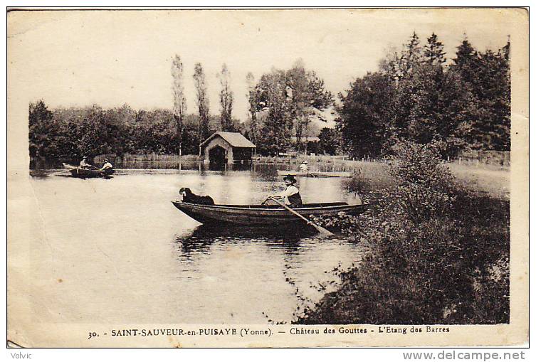 - 89 - SAINT-SAUVEUR-en-PUISAYE - Château Des Gouttes - L´Etang Des Barres - - Saint Sauveur En Puisaye