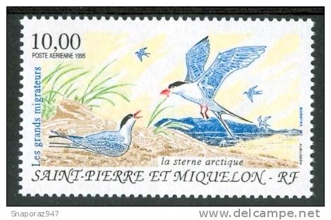 1995 Saint Pierre Et Miquelon Uccelli Birds Vogel Oiseux MNH** P 73- - Nuevos