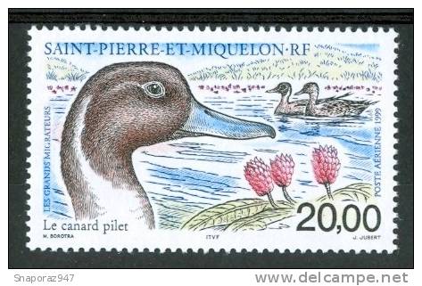 1999 Saint Pierre Et Miquelon Uccelli Birds Vogel Oiseaux MNH** P 74- - Unused Stamps