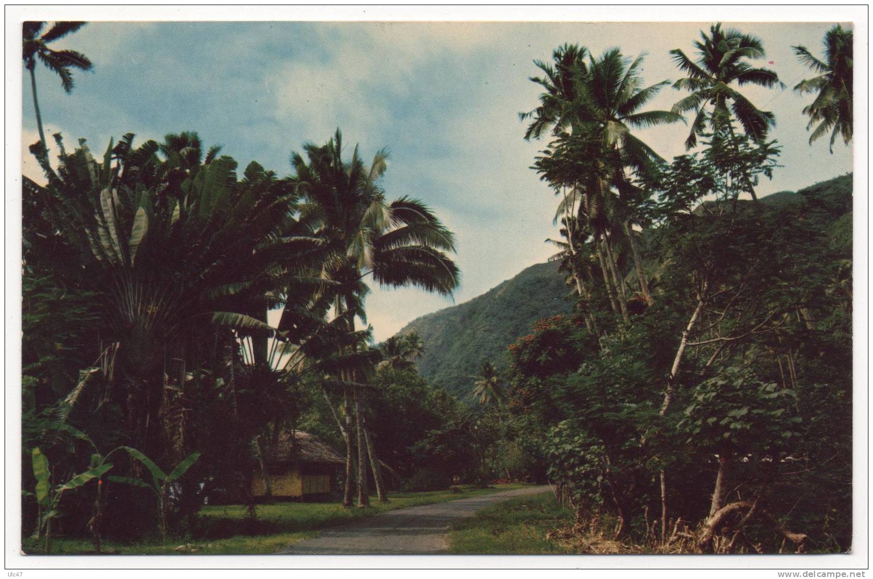 - TAHITI. - Road To Tautira - La Route Vers Tautira - Photographed By Sounam - Scan Verso - - Tahiti