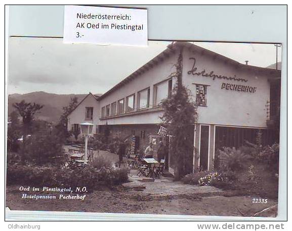 0018bx: AK Oed Im Piestingtal, Niederösterreich, Hotelpension Pecherhof, Ungelaufen Ca. 1960 - Wiener Neustadt