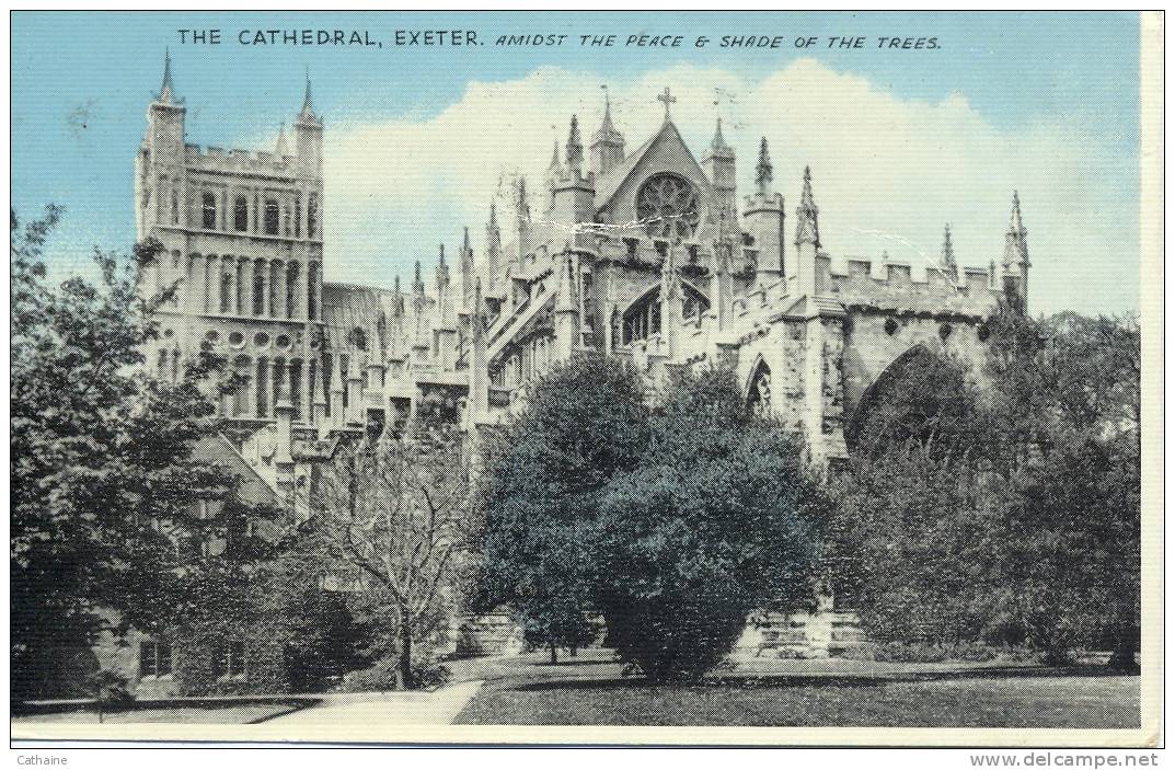 ANGLETERRE . EXETER . THE CATHEDRAL . AMIDST THE E SHADE OF THE REES. - Exeter