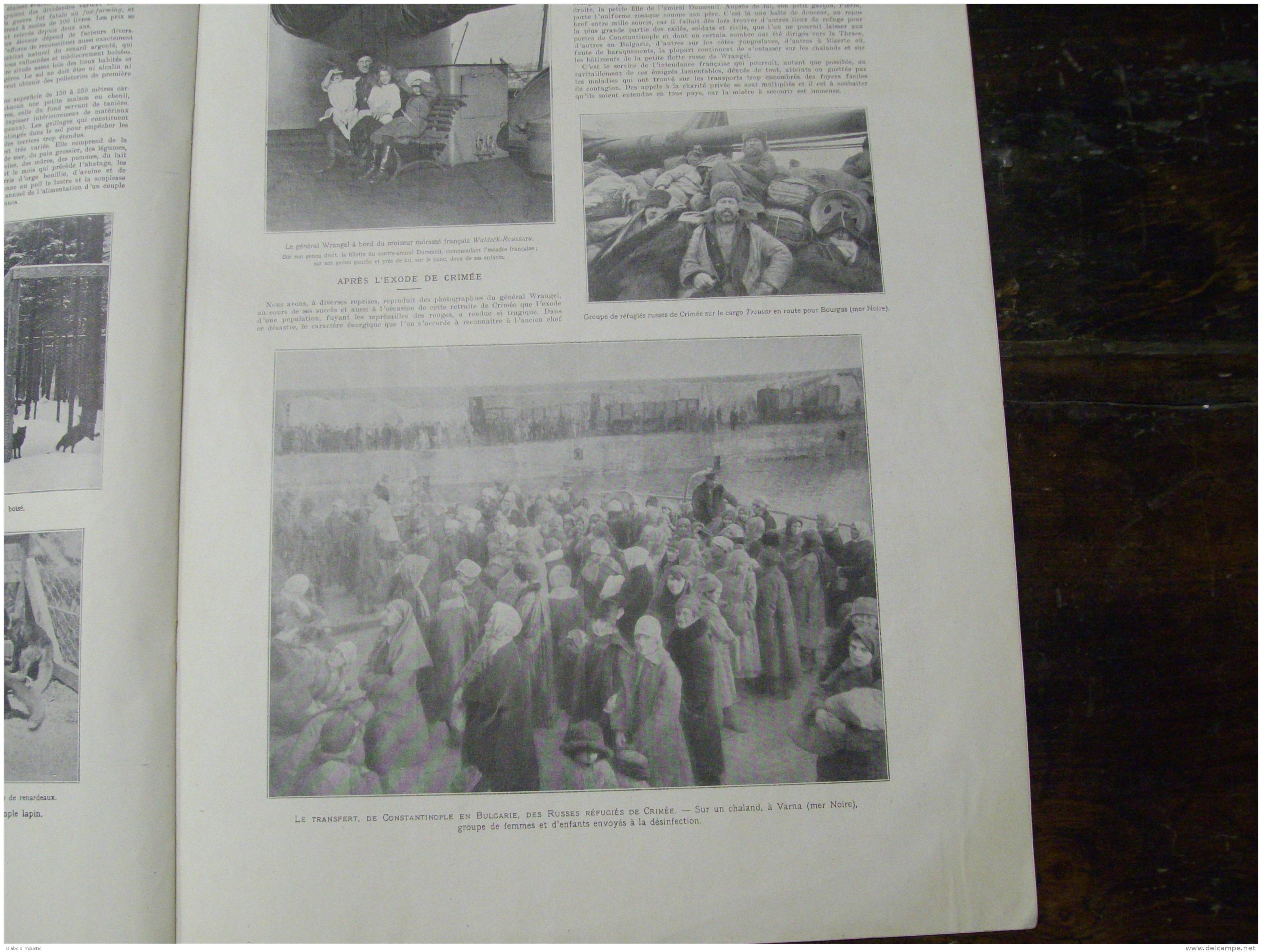 1921 Cinq Générations En 80 Ans ; En Captivité Chez Les Russes ; L' élevage Du Renard Argenté ; Transfert Des Russes .. - L'Illustration