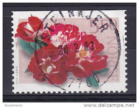 Norway 2001 Mi. 1392 Do    5.50 Kr Flower Blume Rose Deluxe STEINKJER Cancel !! - Used Stamps