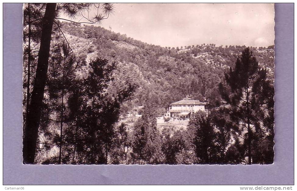 06 - Sclos De Contes - Pension "les Pierrettes" - Cauvin - Contes