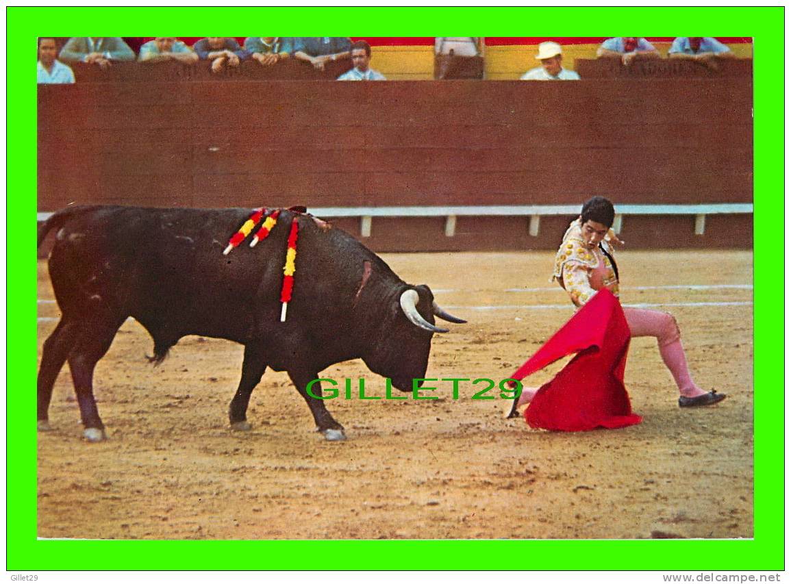 CORRIDA - MIGUEL MATEO (MIQUELIN) - PASSE À GENOUX - FOTO BOTAN - - Corrida