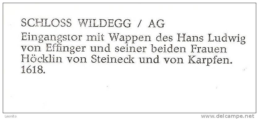 Schloss Wildegg AG Eingangstor Ca. 1960 - Wildegg