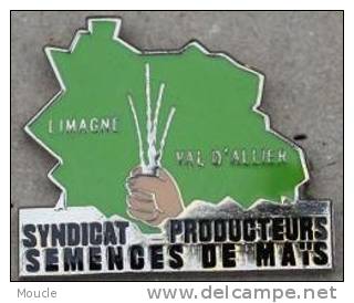 SYNDICAT PRODUCTEURS DE SEMENCE DE MAÏS - LIMAGNE - VAL D'ALLIER - Associations