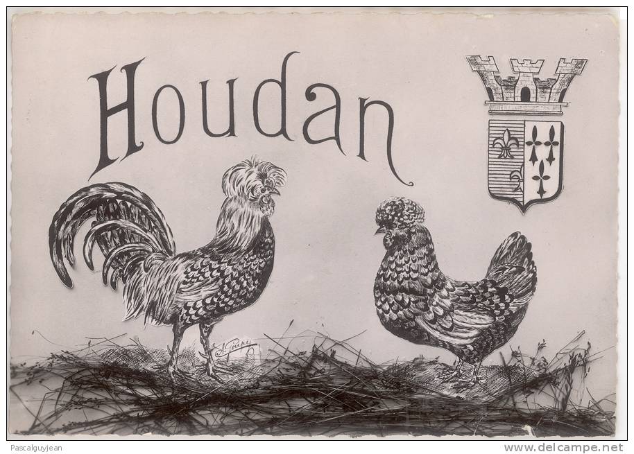 CARTE PHOTO HOUDAN - COQ - ARMOIRIES - Houdan