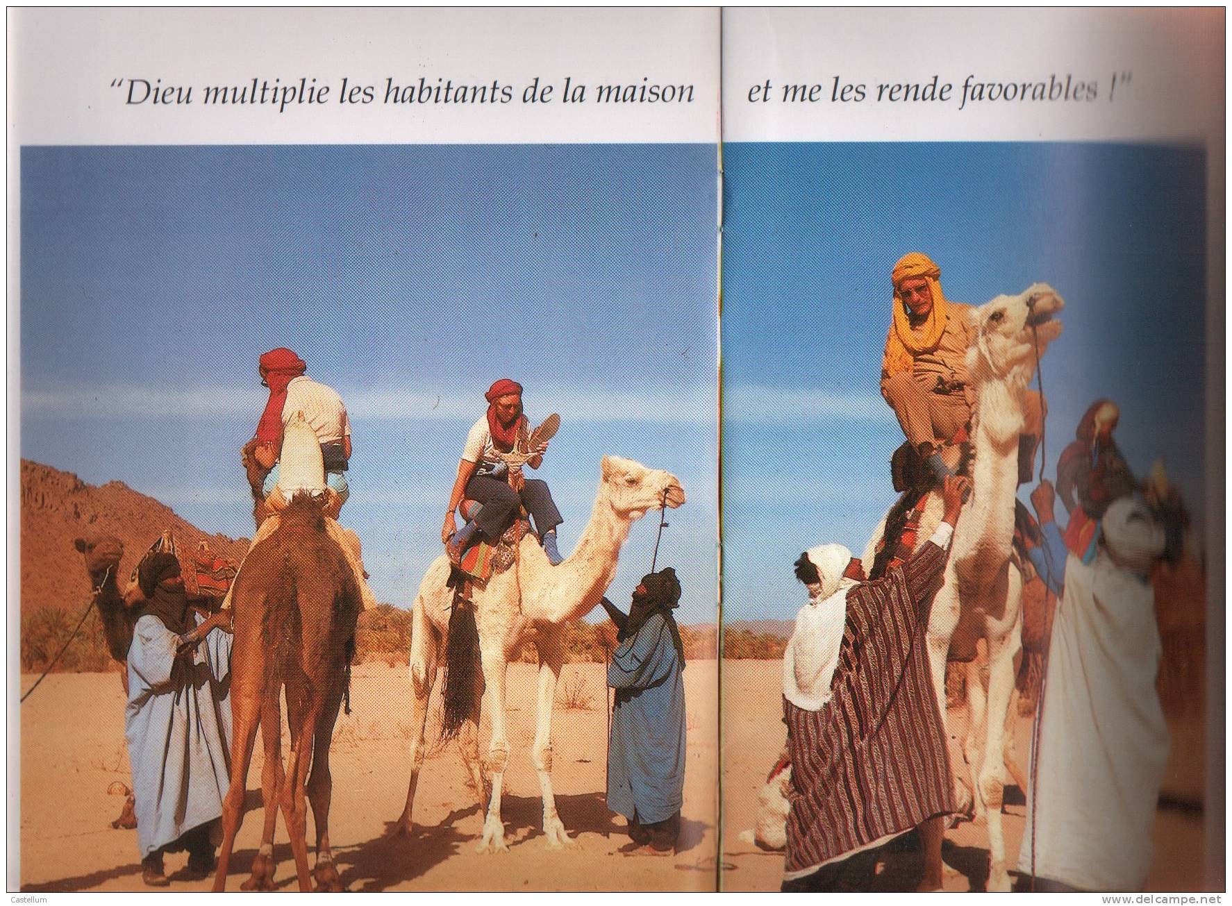 DOCUMENT PHOTOS PUBLICITAIRE SUR LE TOURISME EN ALGERIE - Autres & Non Classés