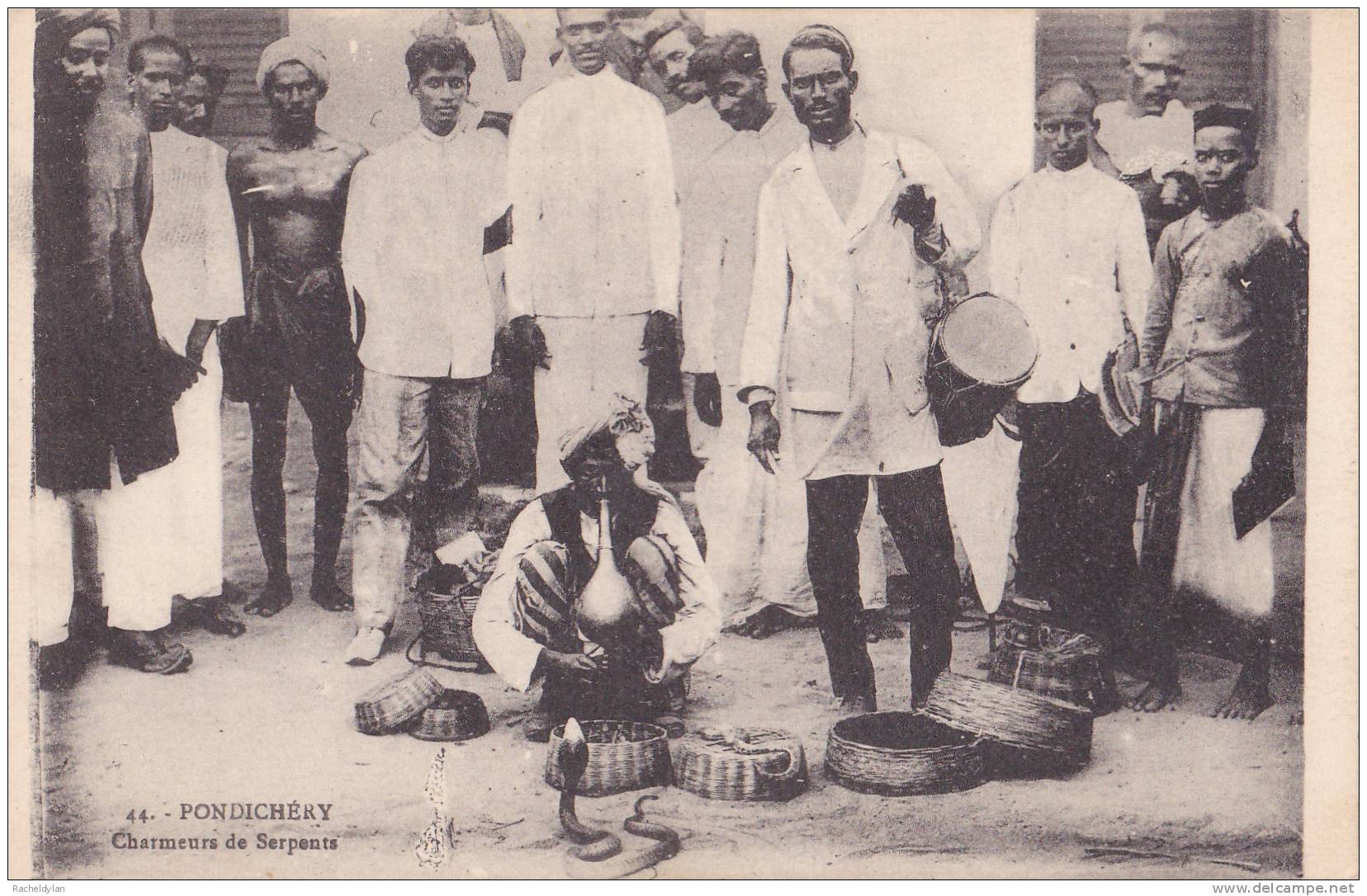 CARTE POSTALE DE PONDICHERY " Charmeurs De Serpants " - India