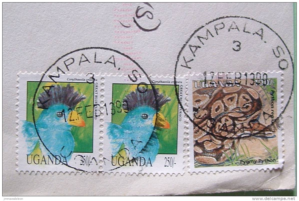 Uganda 1999 Cover To England UK - Animal Snake Python Birds - Ouganda (1962-...)