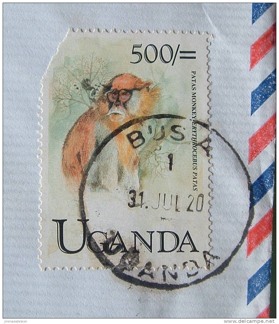 Uganda 2000 Cover To Nigeria - Animal Primate Patas Monkey (damaged) - Uganda (1962-...)