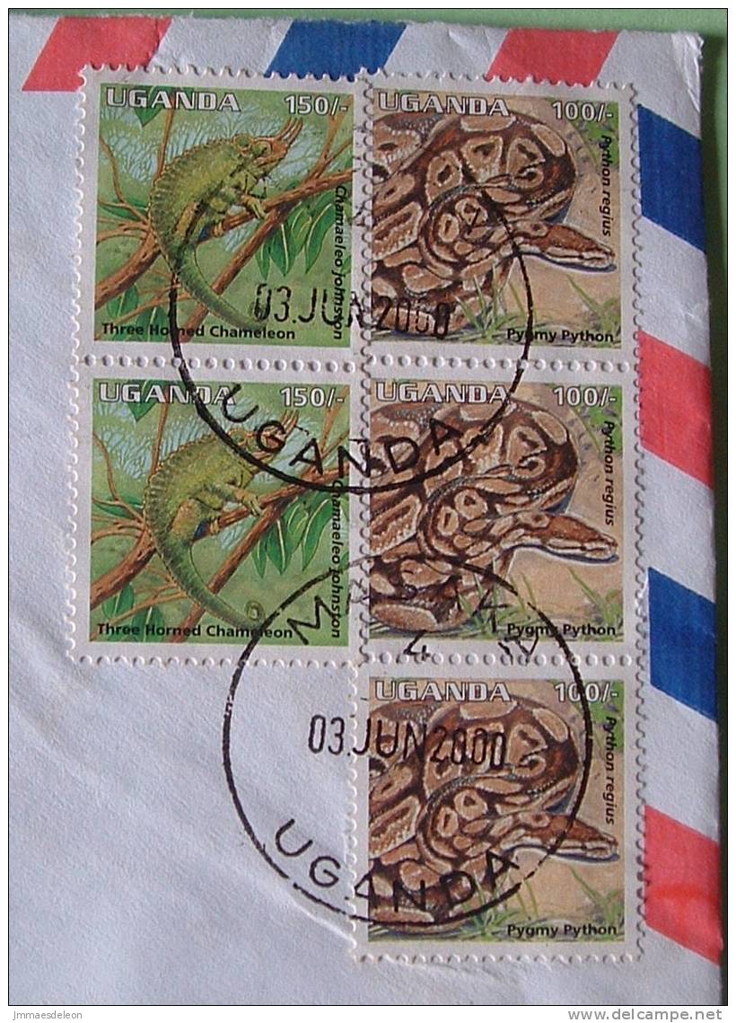 Uganda 2000 Cover To England UK - Animals Lizard Chamaleon Snake Python - Uganda (1962-...)