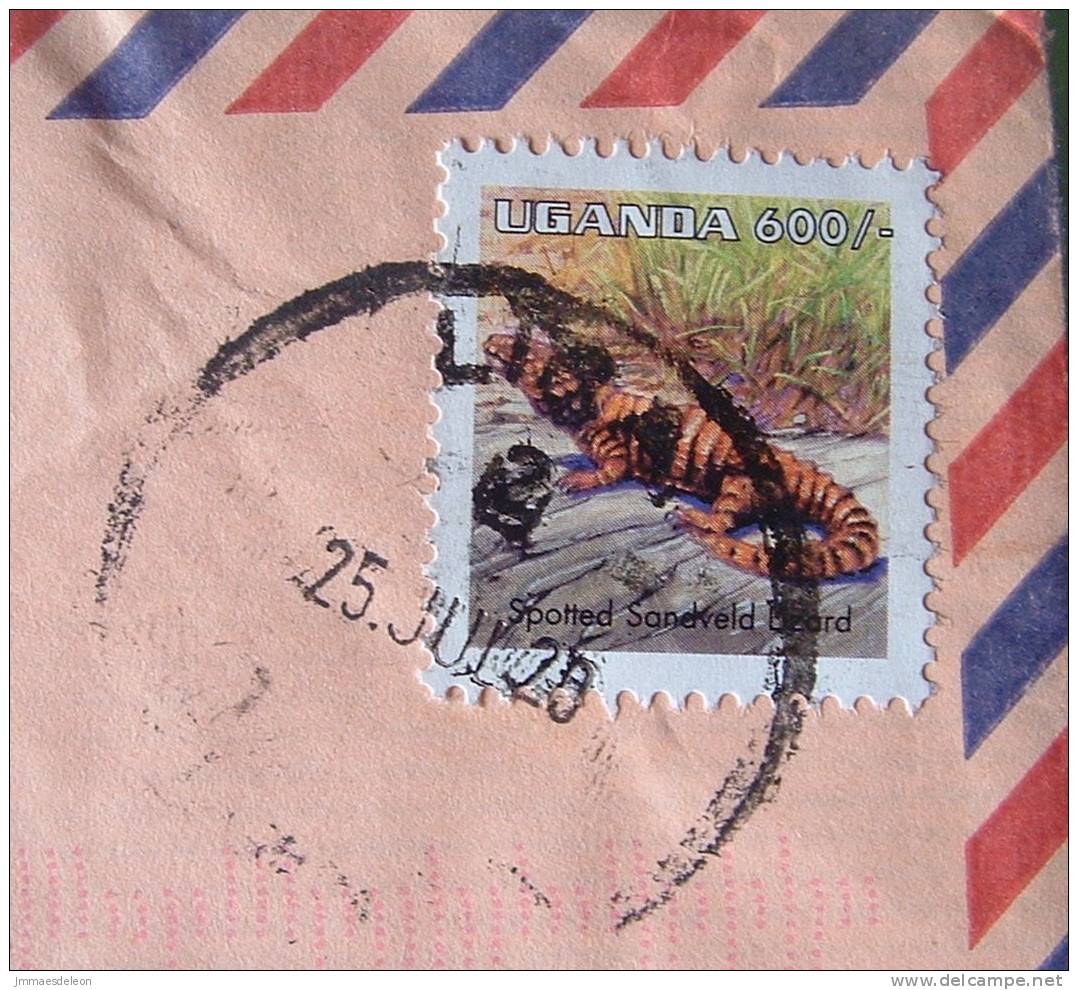 Uganda 2000 Cover To Derby England UK - Animals Lizard - Uganda (1962-...)