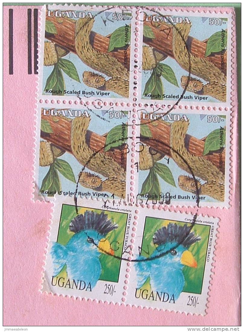 Uganda 2000 Cover To Scranton USA - Animals Snake Viper Birds - Uganda (1962-...)