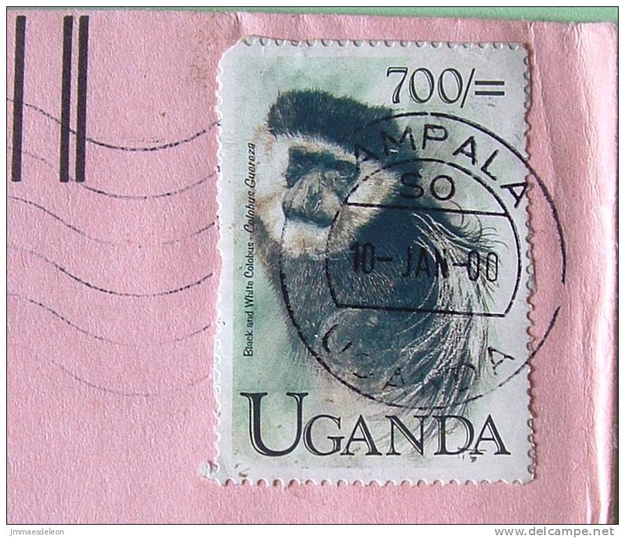 Uganda 2000 Cover To Scranton USA - Animals Primates Monkey (short On An Angle) - Uganda (1962-...)