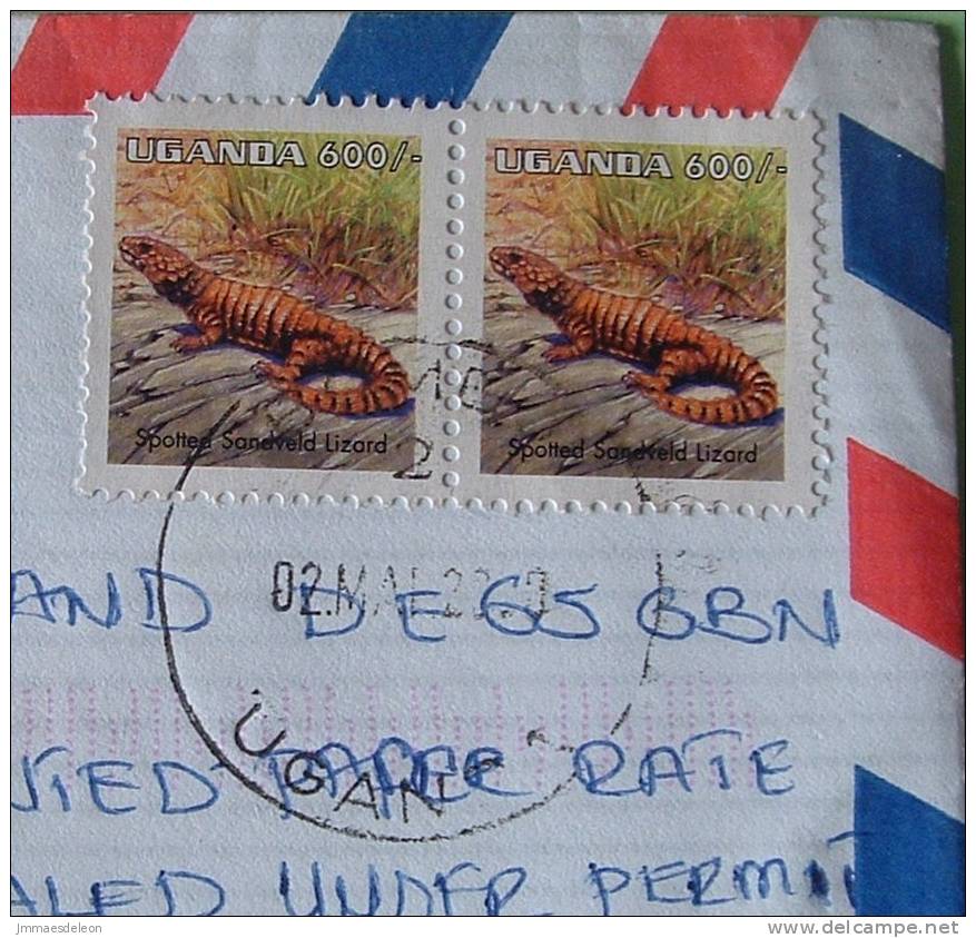 Uganda 2000 Cover To Derby England UK - Animals Lizard - Oeganda (1962-...)