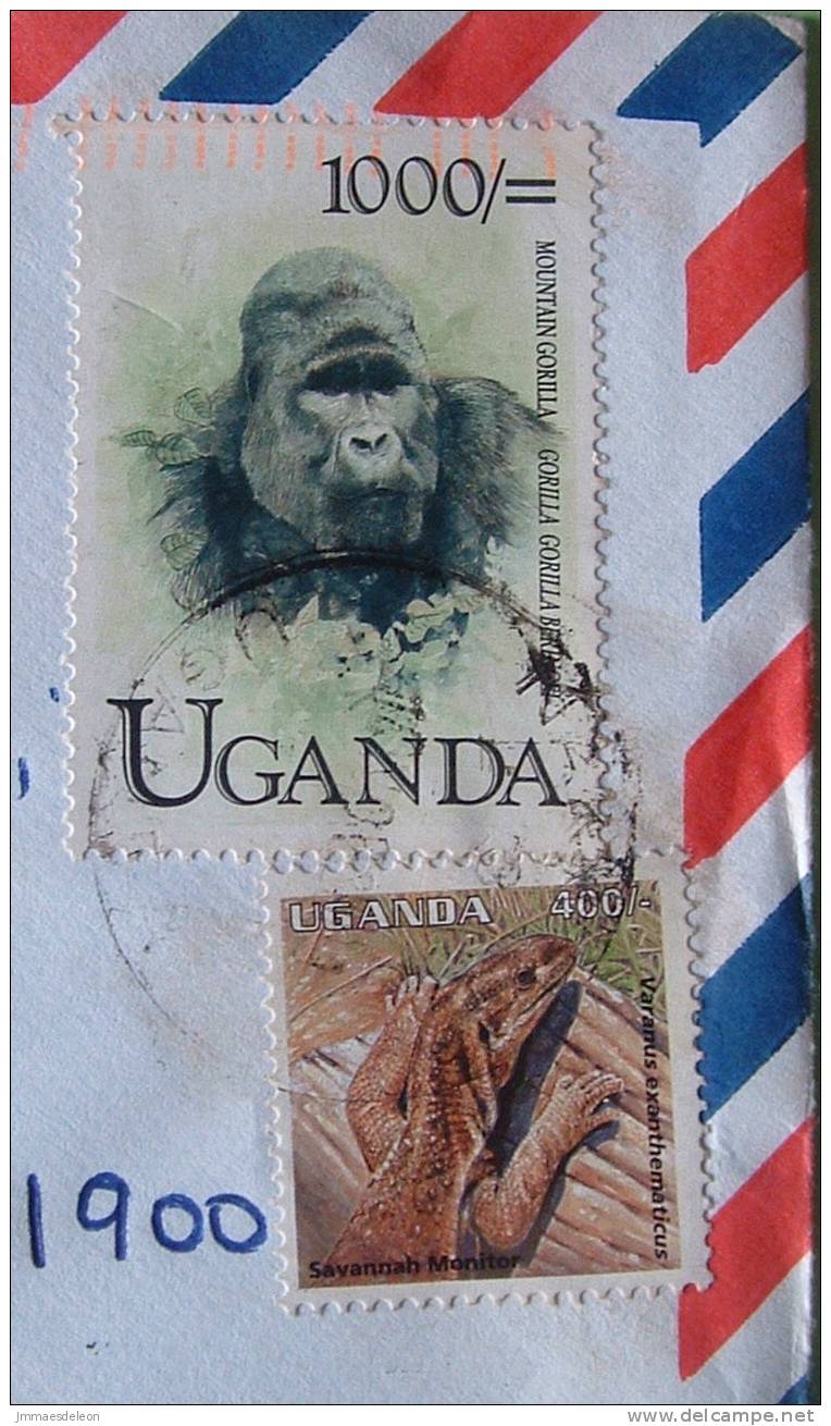 Uganda 2001 Cover To Scranton USA - Animals Primates Gorilla Reptile Lizard Varanus Monitor - Uganda (1962-...)