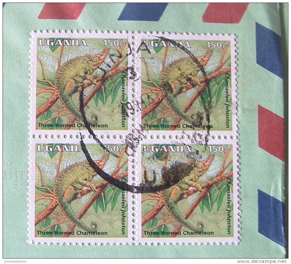 Uganda 2000 Cover To Derby England UK - Animals Lizard Chamaleon - Uganda (1962-...)