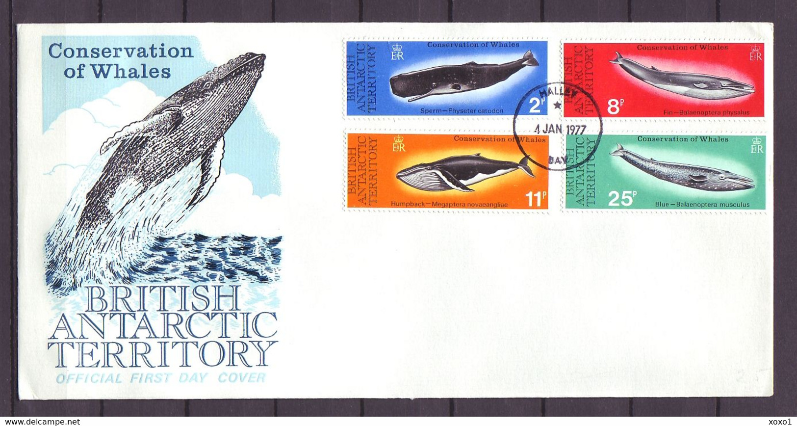 British Antarctic Territory (BAT) 1977 Mi.No. 64 - 67  Whale  FDC 40,00 € - Wale