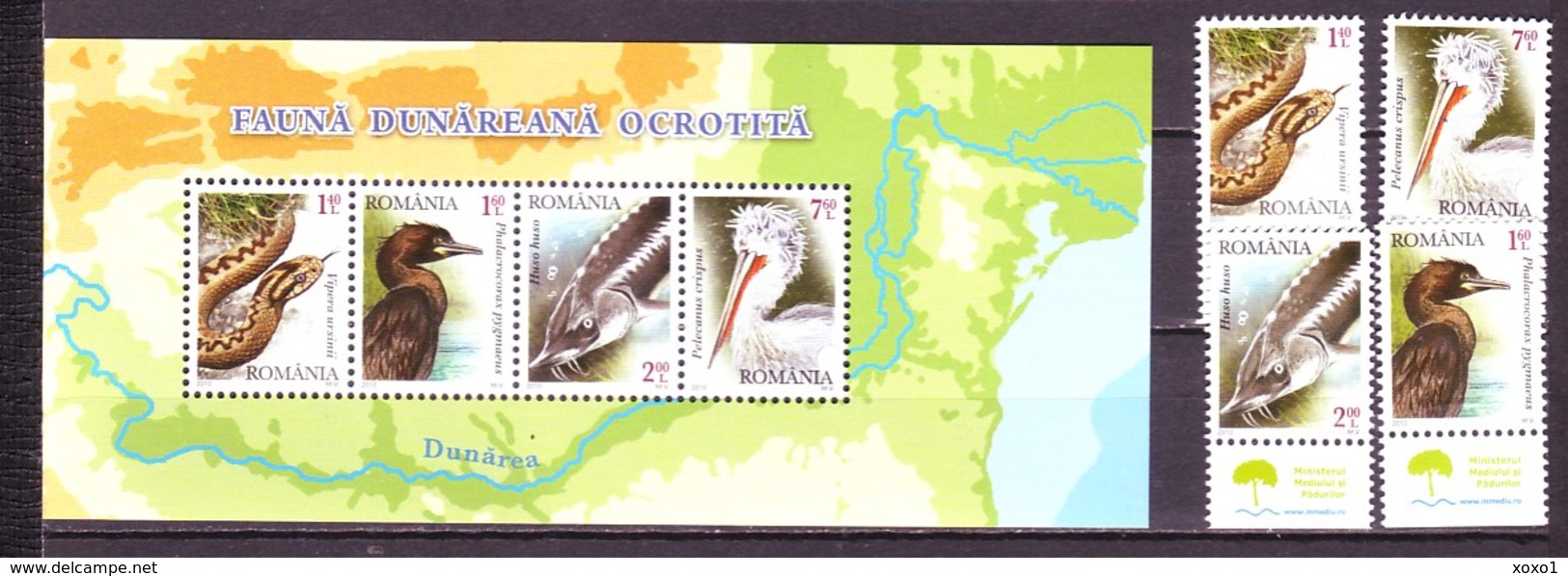 Romania 2010 MiNr. 6445 - 6448 (Block 470) Rumänien Fauna Birds Reptiles Meadow Viper Fishes 4v + S\sh MNH** 20,00 € - Serpenti