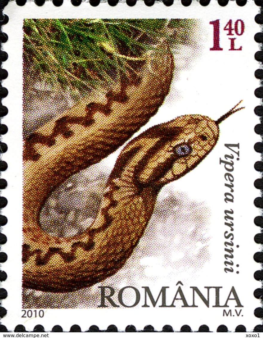 Romania 2010 MiNr. 6445 - 6448 (Block 470) Rumänien Fauna Birds Reptiles Meadow Viper Fishes 4v + S\sh MNH** 20,00 € - Serpenti