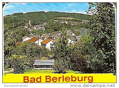 AK Bad Berleburg Mehrbild 9 Bilder Schloß Berleburg Altstadt mit Schloß Schloß Berleburg Naturheilklinik Odeborn Totale