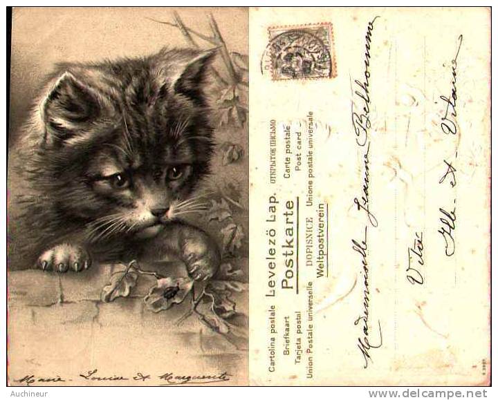 Chat Avec Coccinelle - Gaufrée, Embossed 1902 - Cats