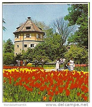 AK 63 Blumengrüße von der TROPENINSEL MAINAU Mehrbild 6 BilderDie Blumeninsel im Bodensee mit dem berühmten Barockschloß