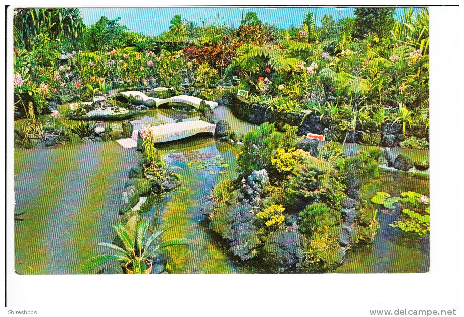 Kongs Floraleigh Gardens Hilo Hawaii - Hilo