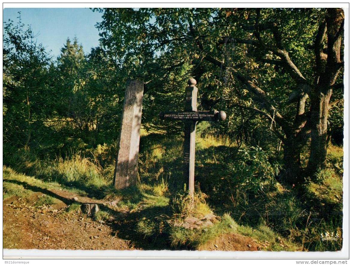 HOGE VENEN HAUTES FAGNES La Croix De Fiancés Et Borne De 1914-18 (frontiere Belgique Allemagne) Büllingen - Ballagne - Bullange - Bullingen