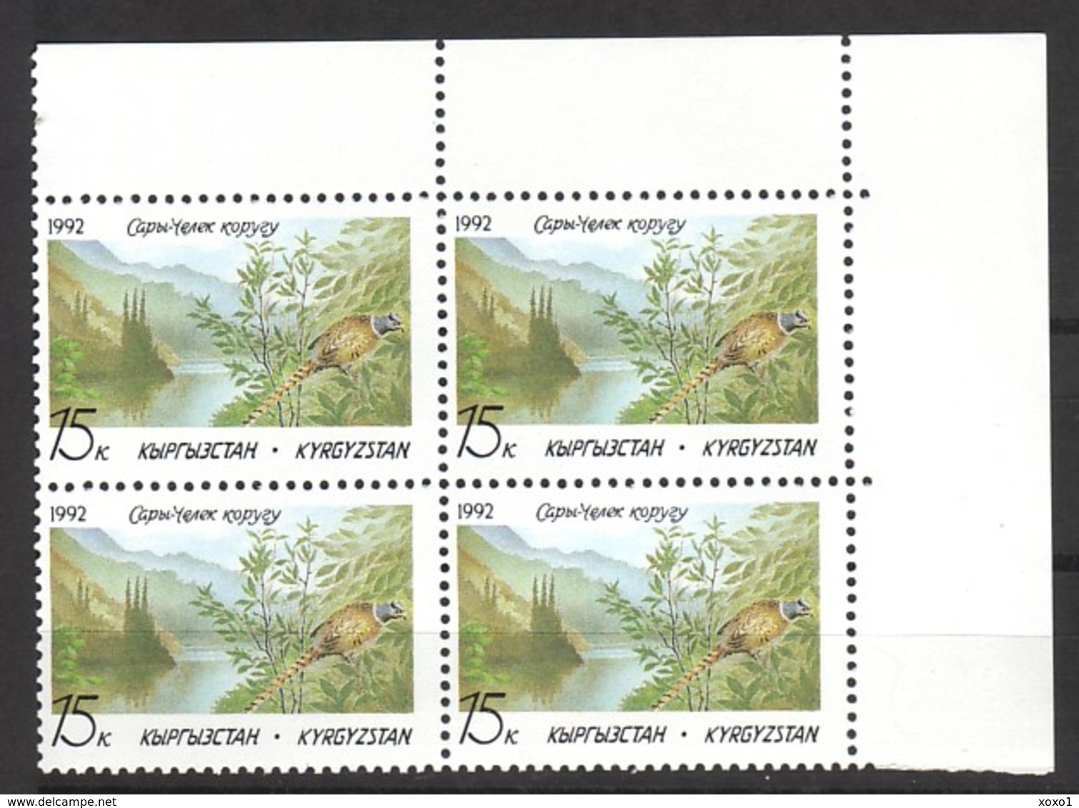 Kyrgyzstan 1992 Mi.No. 1 Kirgisien Birds Ring-necked Pheasant Sary-Cheleksky Nature Reserve 4v MNH** 2.00 € - Hoendervogels & Fazanten