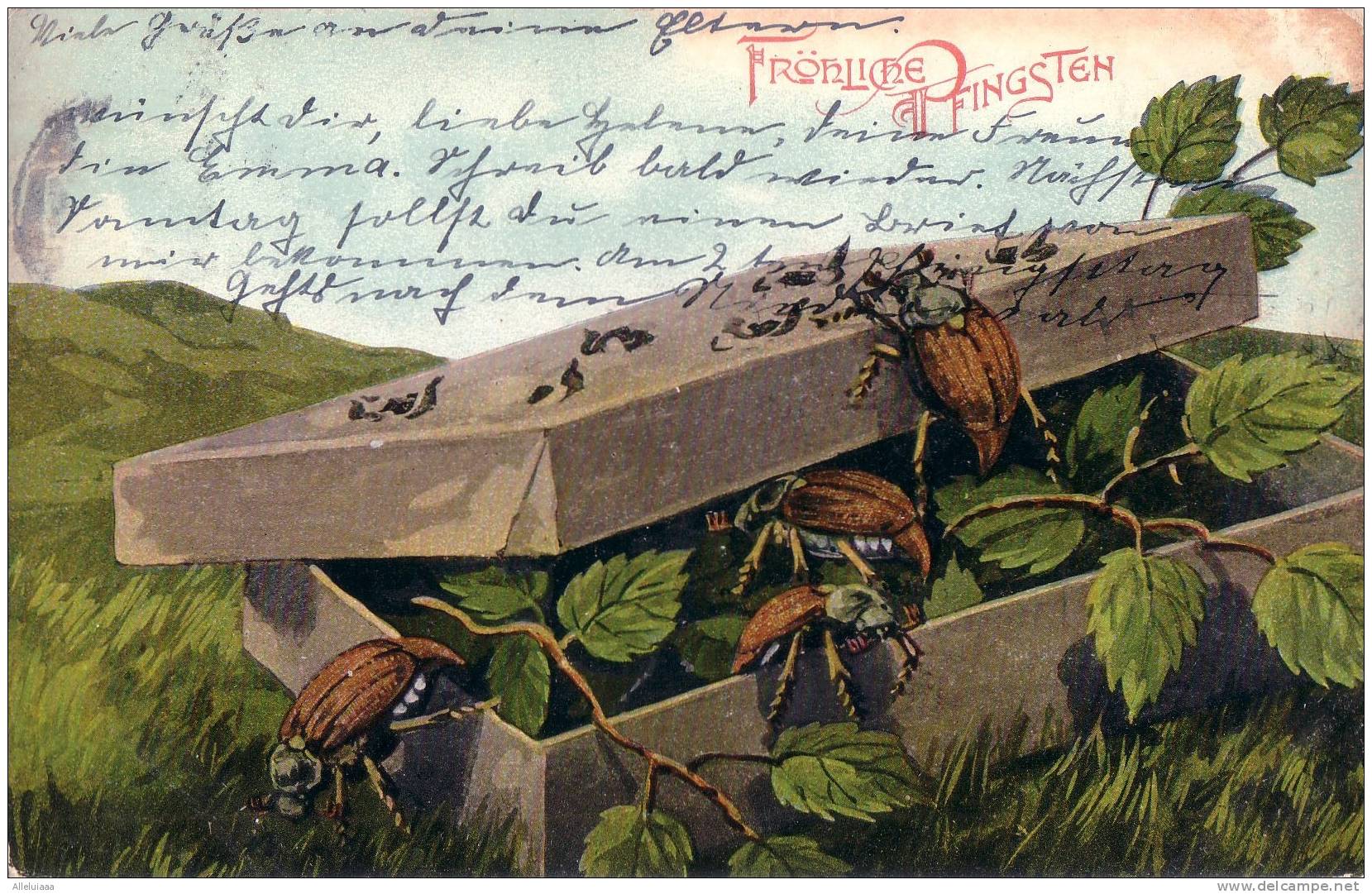 CPA BELLE FANTAISIE FANTAISY ILLUSTRATION Fröhliche Pfingsten Boite SCARABEE 1905 - Pentecôte