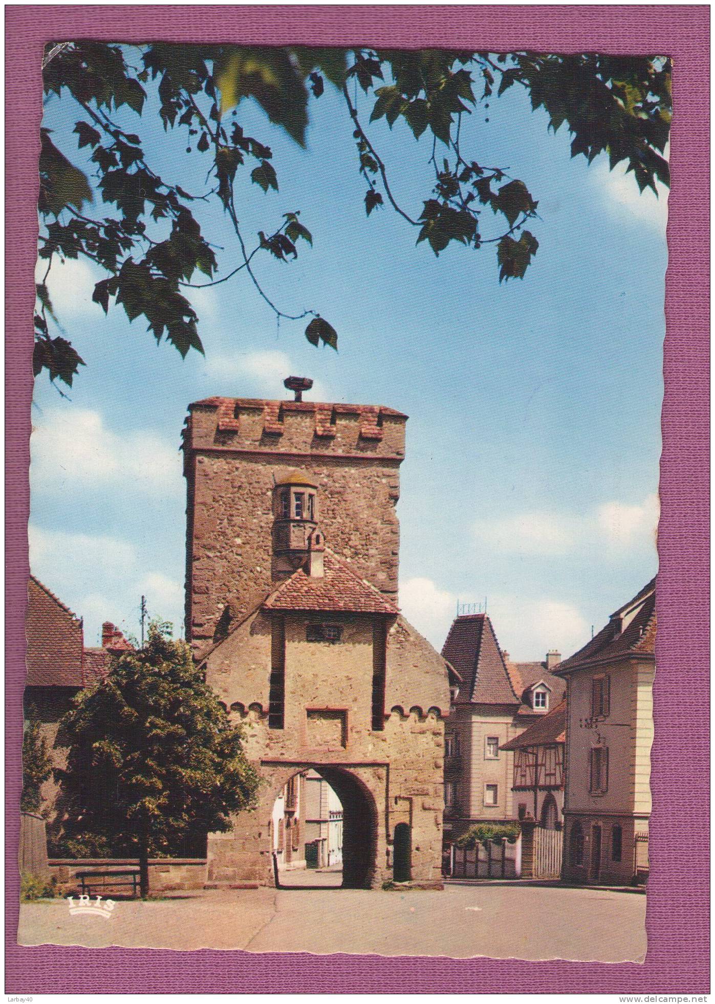 1 Cp  Cernay Porte De Thann - Cernay