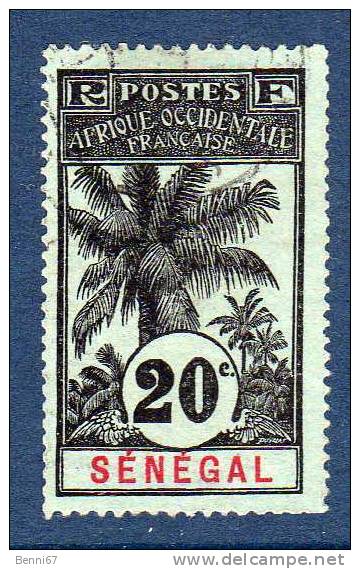 SENEGAL 1906 Palmier Yv 36 Oblitéré - Autres & Non Classés