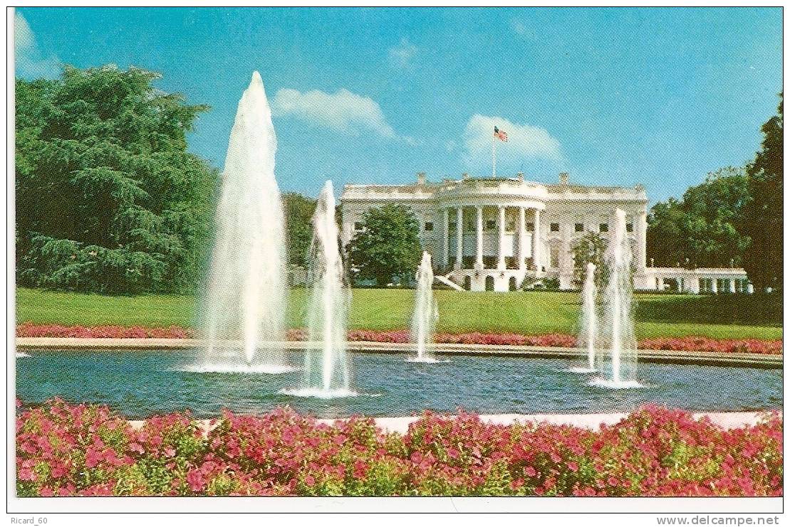 Carte Postale, Washington Dc, Maison Blanche, White House, - Washington DC