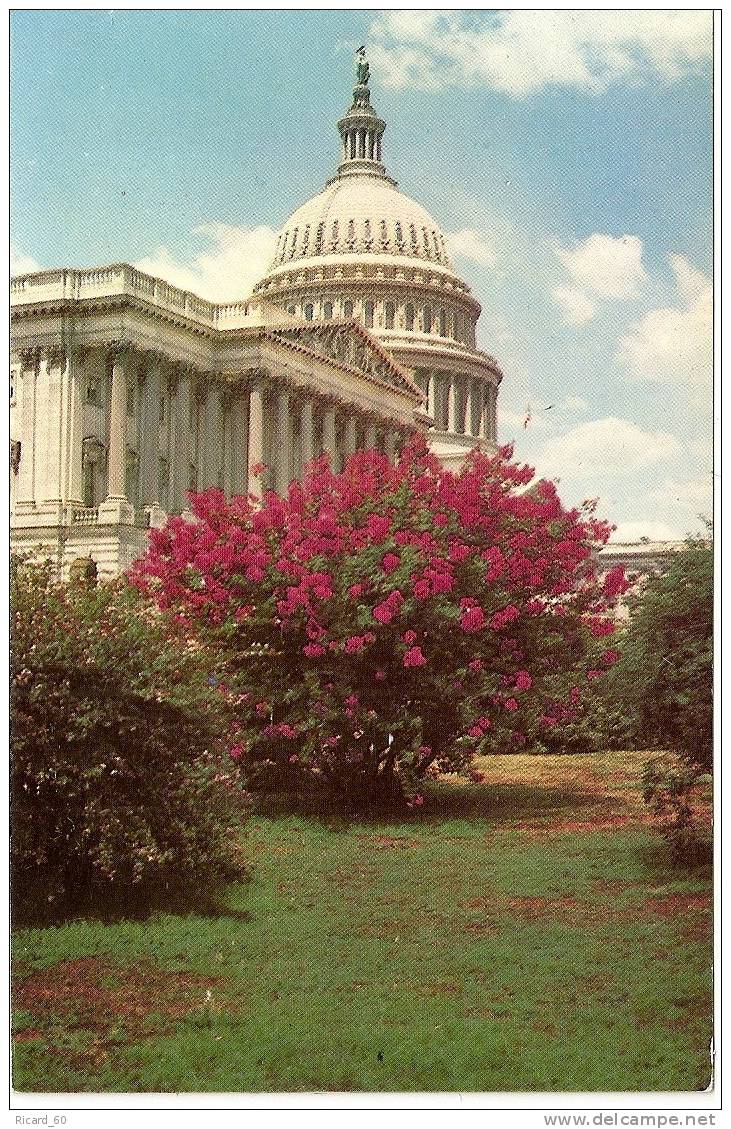 Carte Postale, Washington Dc, Us Capitol - Washington DC