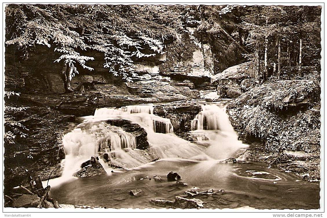 AK 1821615 Monbachschlucht Bei Bad Liebenzell 24. 4. 62 - 10 753 PFORZHEIM Xb Werbestempel PFORZHEIM SCHMUCK- UND UHRENS - Pforzheim