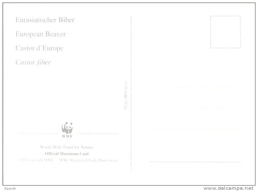 BIELORUSSIE      WWF CARTE MAXIMUM NUM.YVERT 97  PROTECTION DE LA NATURE  CASTOR - Maximum Cards