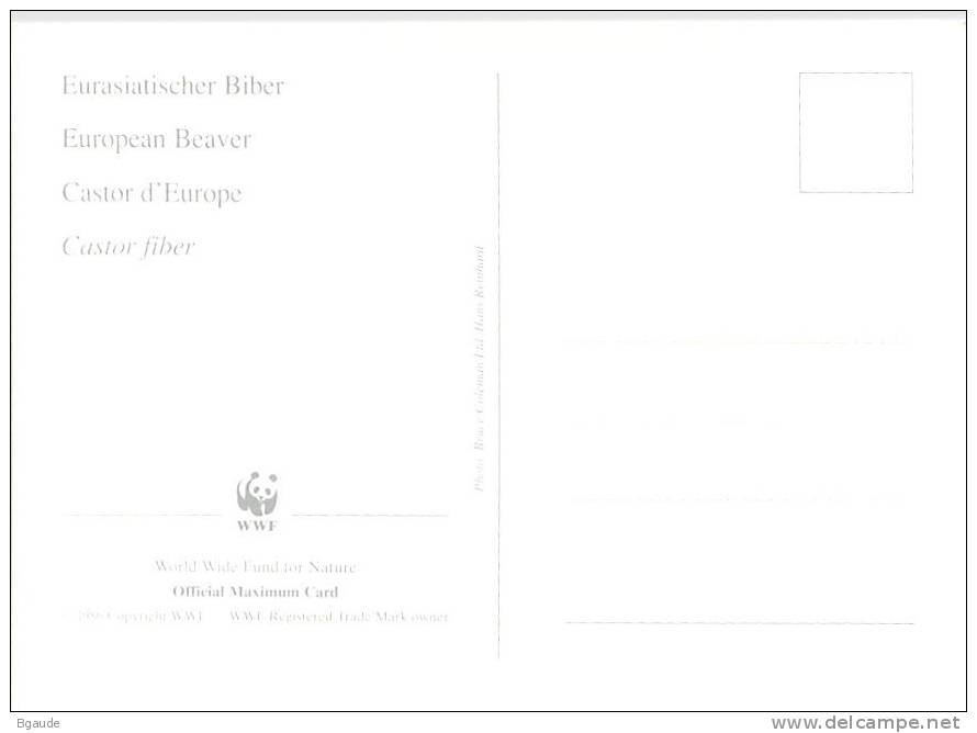 BIELORUSSIE      WWF CARTE MAXIMUM NUM.YVERT 99  PROTECTION DE LA NATURE  CASTOR - Maximum Cards