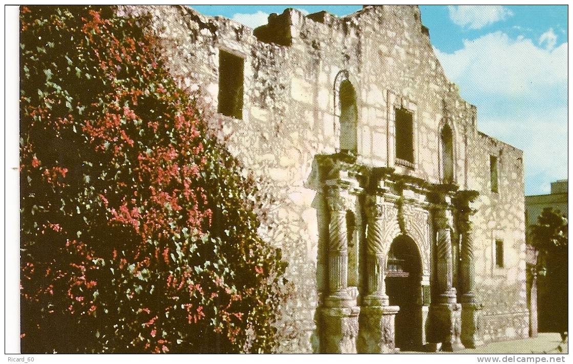 Carte Postale, Texas, San Antonio, The Alamo - San Antonio