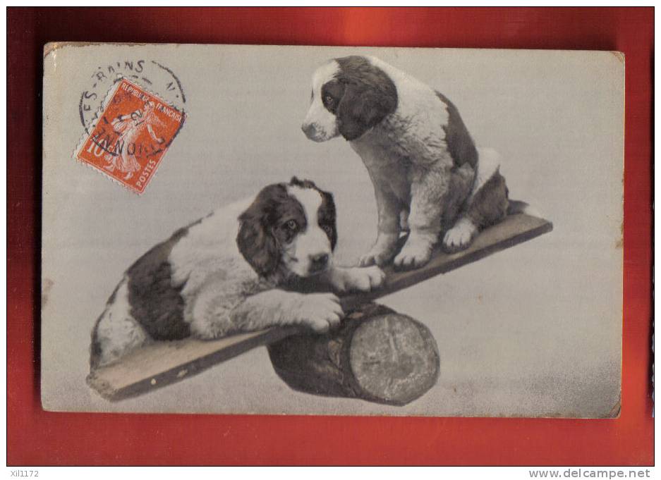 B331 Chiots Du Saint-Bernard St-Bernhard Sur Une Balançoire.Cachet Frontal 1912, No 2610 - Chiens