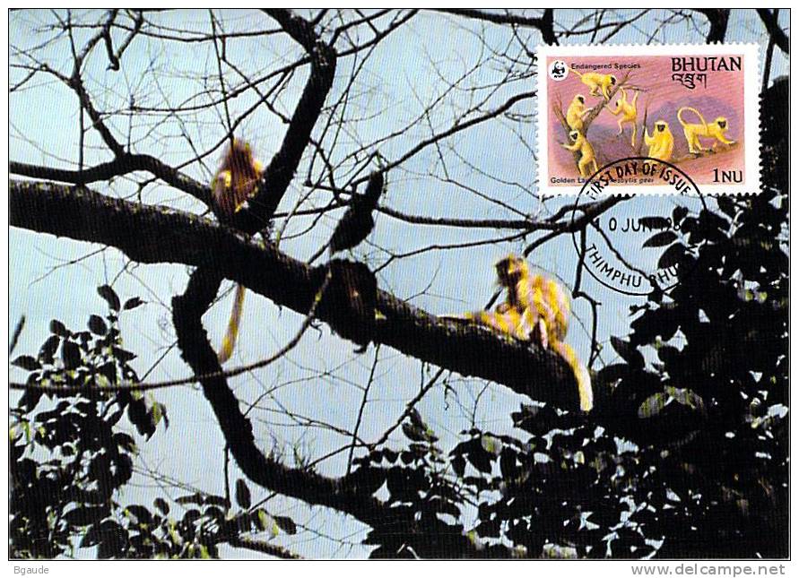 BHOUTAN    WWF CARTE MAXIMUM NUM.YVERT 621  PROTECTION DE LA NATURE SINGE - Maximum Cards